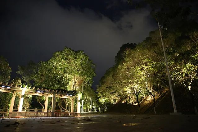 省内新增一夜景"打卡地"!凤岗人民公园新升级文创夜景